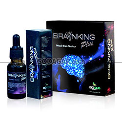 BRAINKING PLUS (Nutrisi Otak)